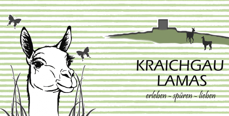 Kraichgau-Lamas