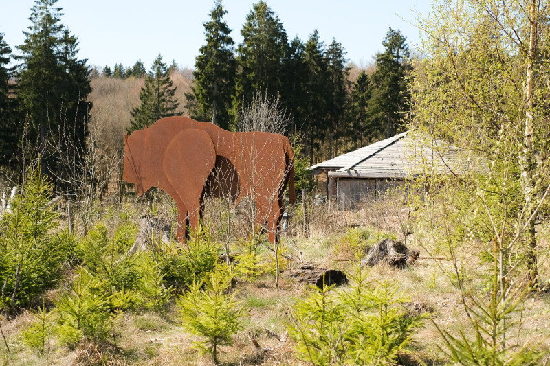 Galeriebild zum Gutschein