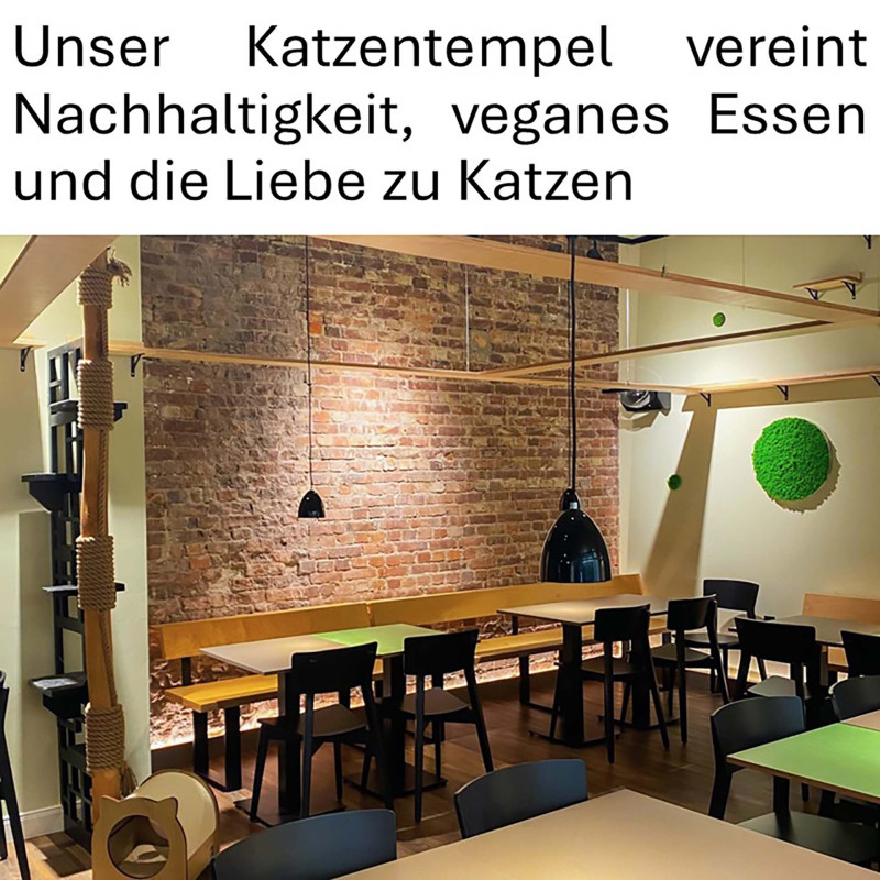 Galeriebild zum Gutschein