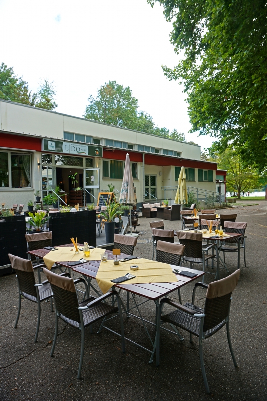 Helmlingen Grüner Baum